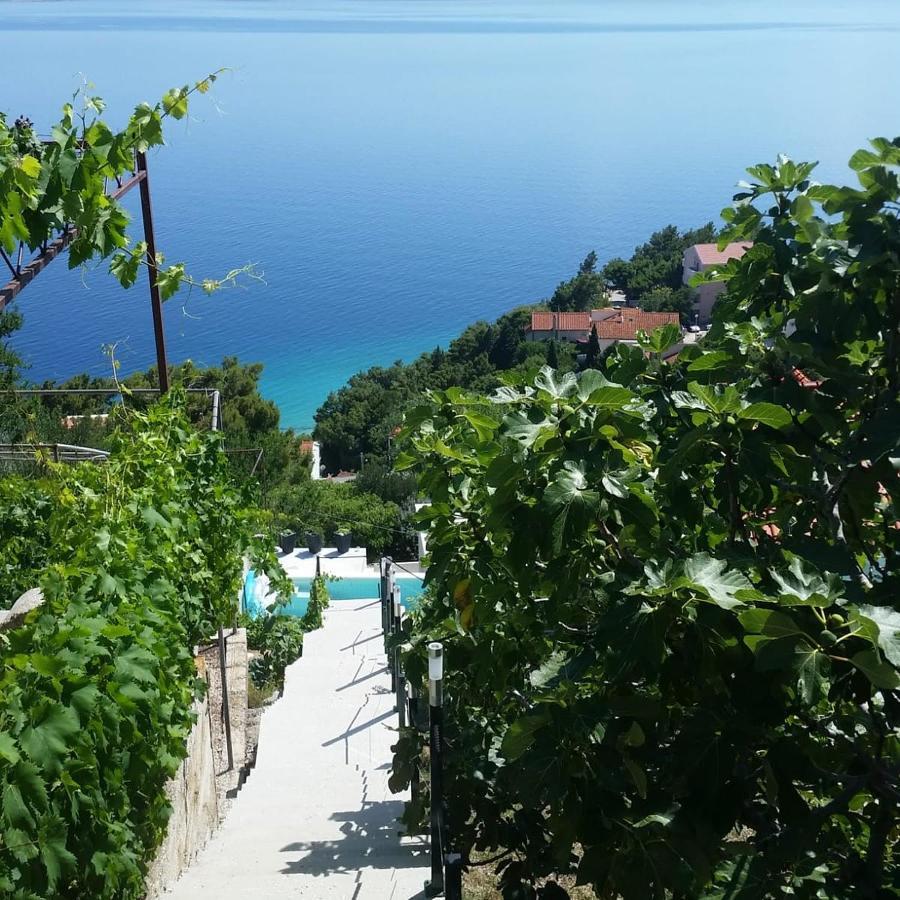 Waterview Apartments - Koru Apartment And Pool Мимице Экстерьер фото